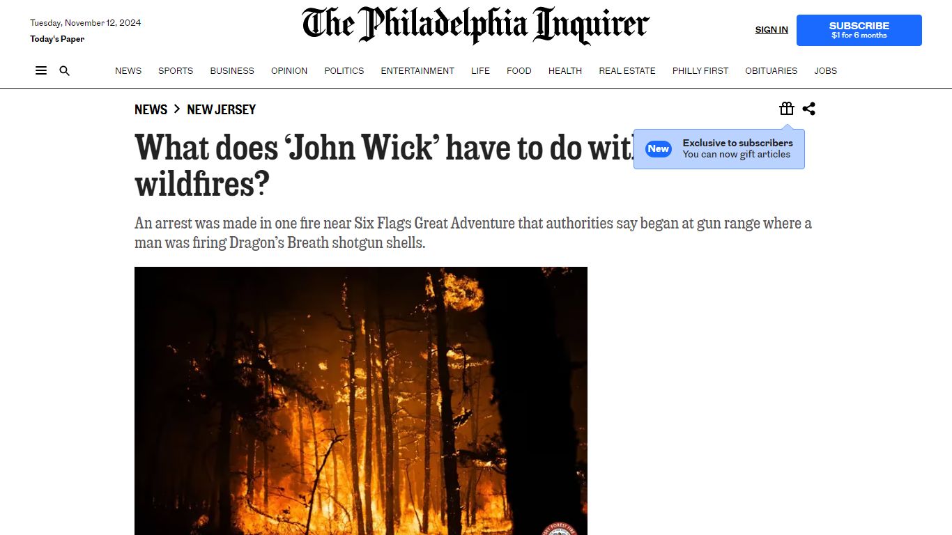 N.J. wildfires, started by incendiary dragon's breath shotgun ammo, now ...